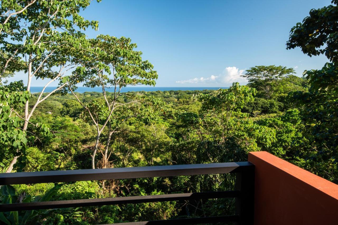 Jungle Lodge At Wild Sun Rescue Center Cabuya  Exteriér fotografie