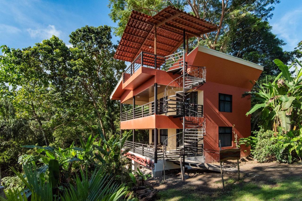 Jungle Lodge At Wild Sun Rescue Center Cabuya  Exteriér fotografie